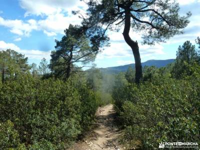 Cuerda Escurialense y Cuelgamuros;pantano de san juan valle de baztan jerte en flor parque natural o